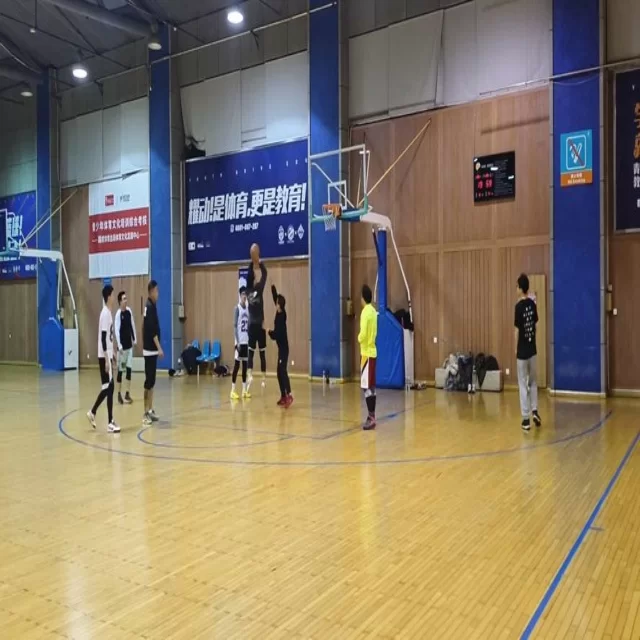 电竞季后赛战术变化与阵容视角解析